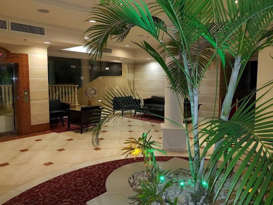 La-Palmore Luxury Apart-Residense Resort With Pool First Line Sea Side 엘라트 외부 사진
